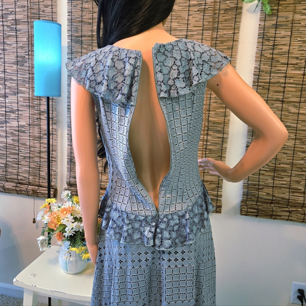Anthropologie Sleeveless Lace Ruffle Dress - Picture 8 of 16